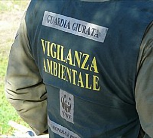 Vigilanza Ambientale