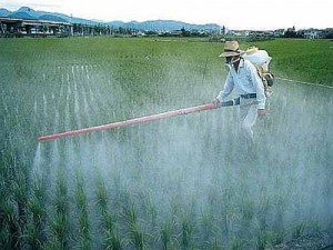 Pesticidi nell'ambiente