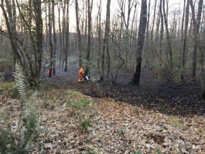 Sottobosco in fiamme alla Màgia