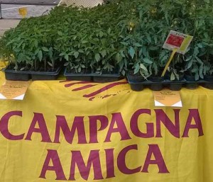50 piante campagna amica