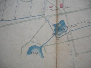 Una delle piantine disegnate dal Cavalier Martelli 