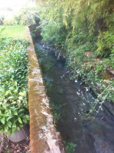 Fogna-canale a cielo aperto, a valle di Via Argonauti
