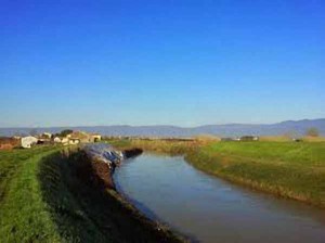 Ombrone