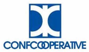 Il logo