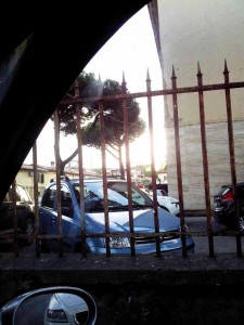 Macchine dentro il giardino