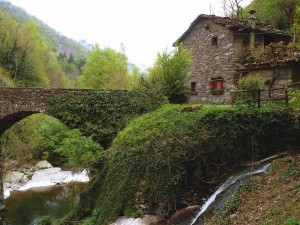 Pavana. Mulino di Chicon