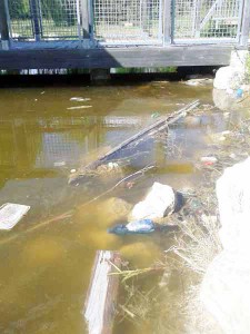 Un esempio di degrado dei corsi d’acqua