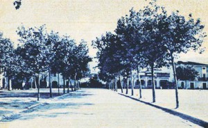 Quarrata. La Piazza Risorgimento di Nello Lenzi