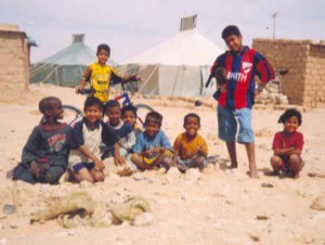 Bimbi Saharawi