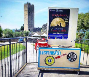 Una giornata uggiosa...