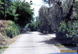 Una strada in piena campagna: buia e piena di buche