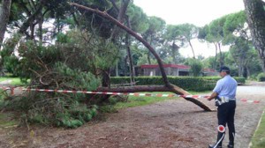 Col cinema poteva essere anche strage...