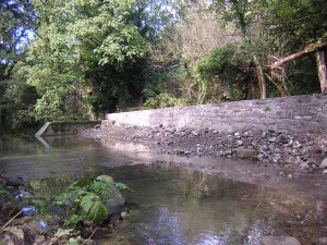 Un’immagine del Torrente Limestre