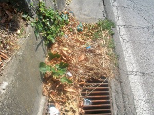 Nelle periferie pozzetti intasati: poi strade allagate